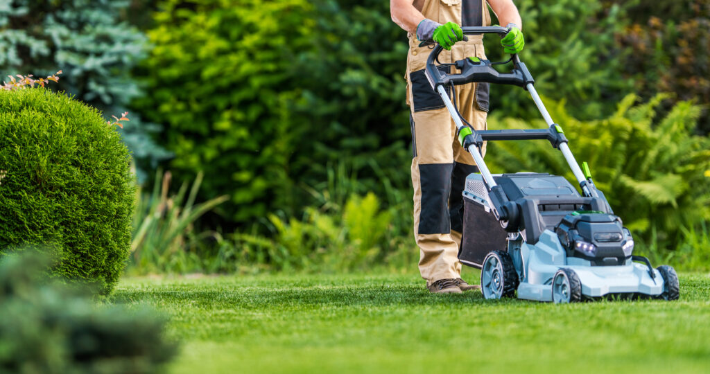 Our Team Member is Using Grass Trimming Machine 1