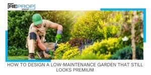 How to Design a Low-Maintenance Garden That Still Looks Premium